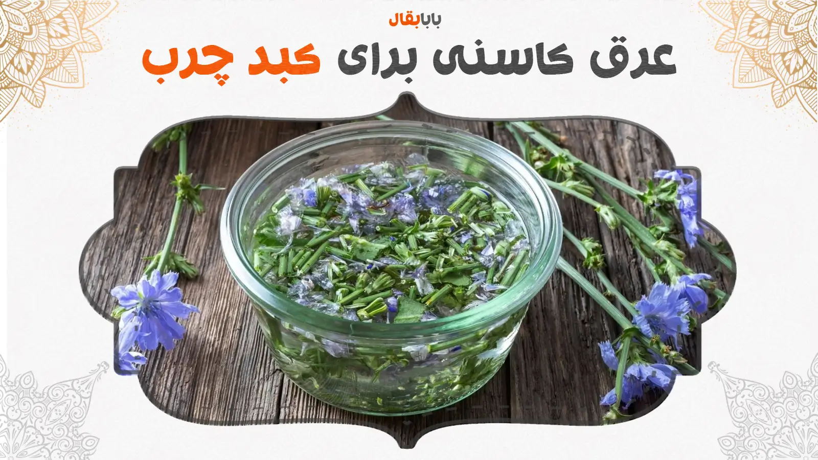 طریقه مصرف عرق کاسنی برای کبد چرب