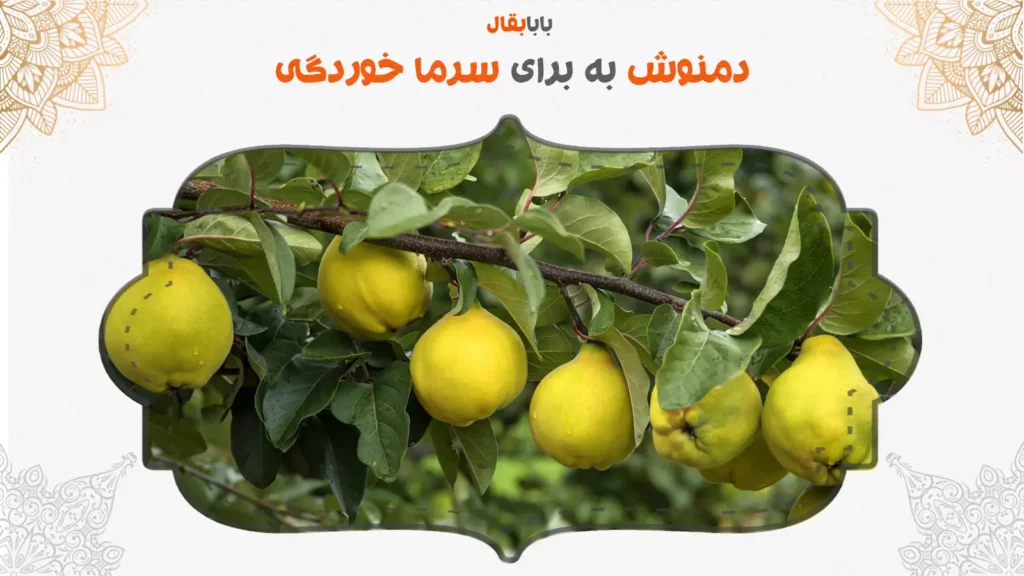 دمنوش به برای سرماخوردگی