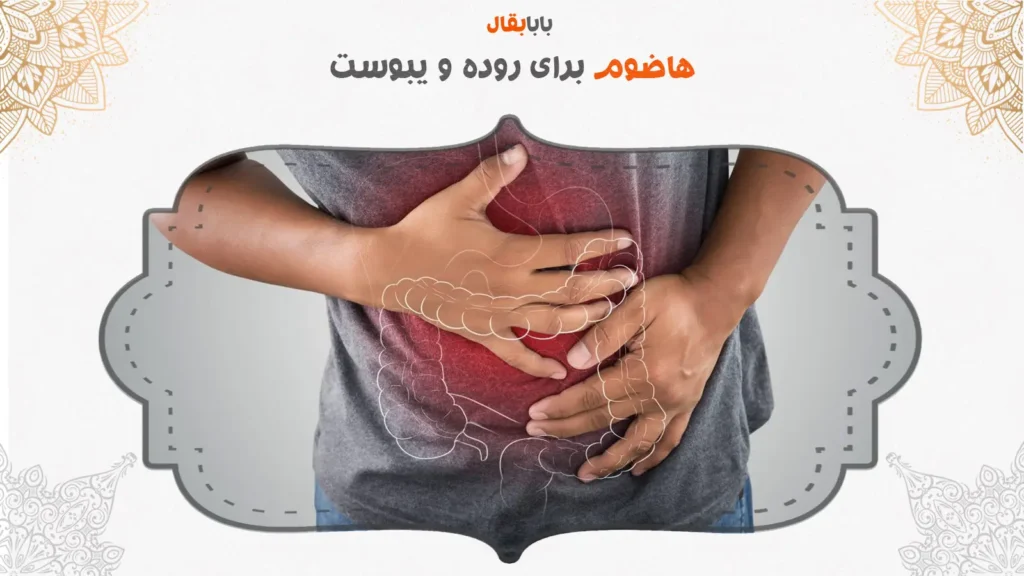 هاضوم برای روده