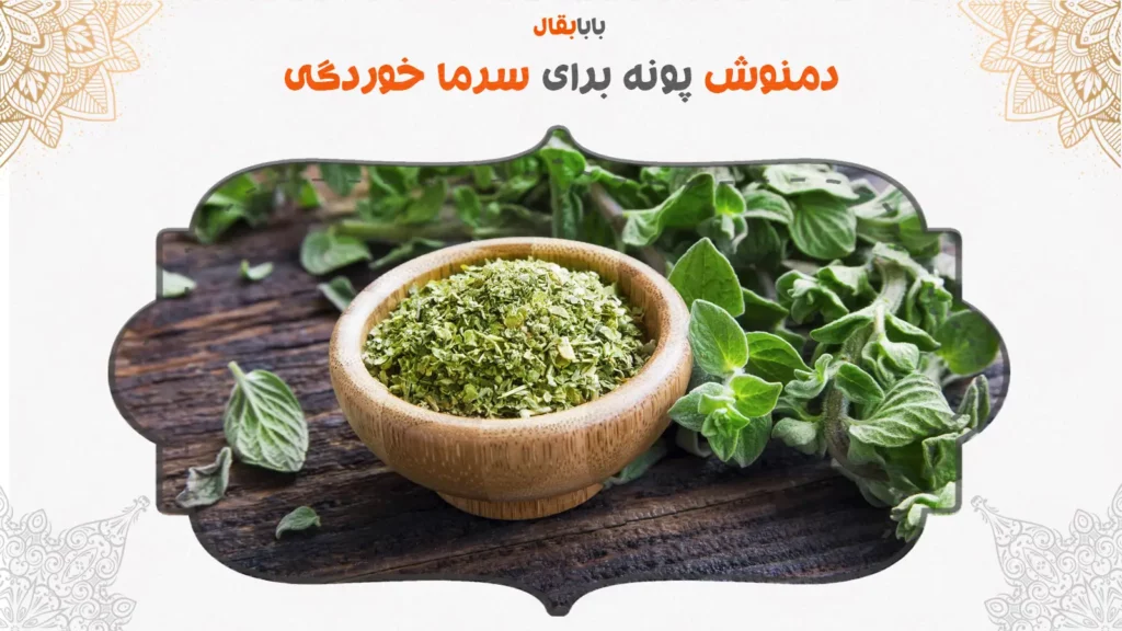 دمنوش پونه برای سرماخوردگی