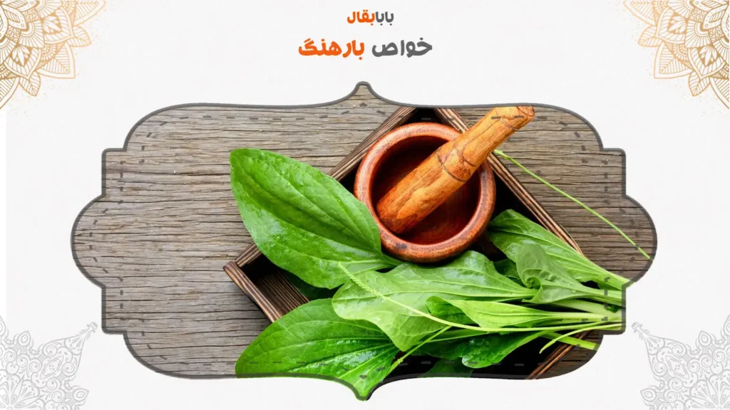 خواص بارهنگ