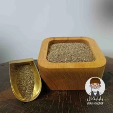بذر جعفری