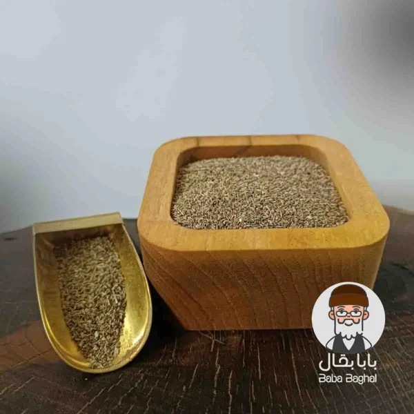 بذر جعفری