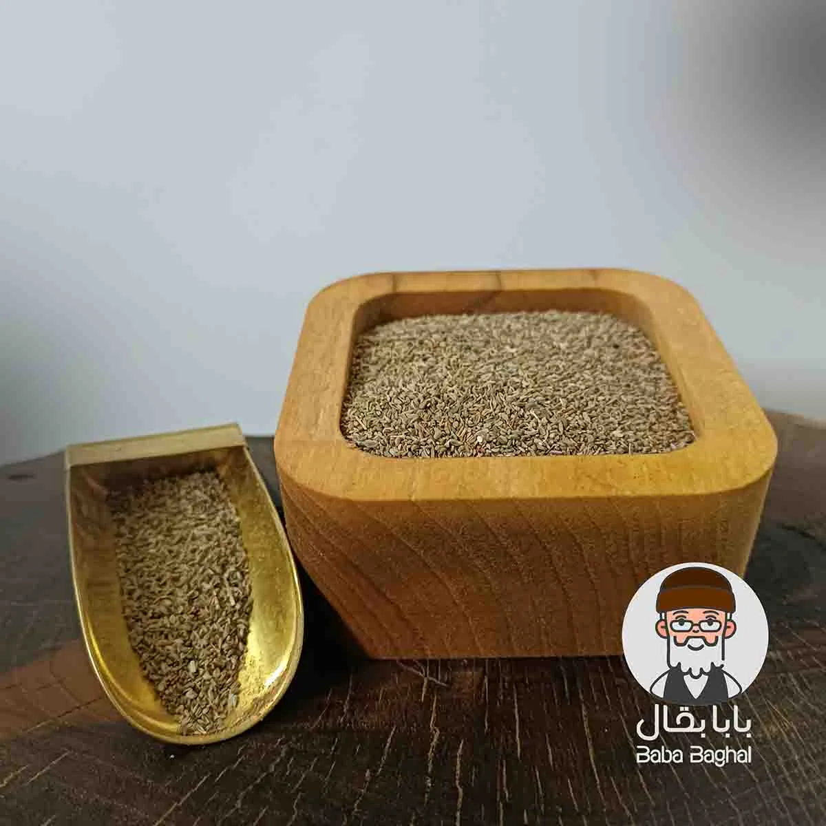 بذر جعفری