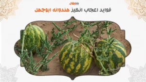 فواید اعجاب انگیز روغن حنظل