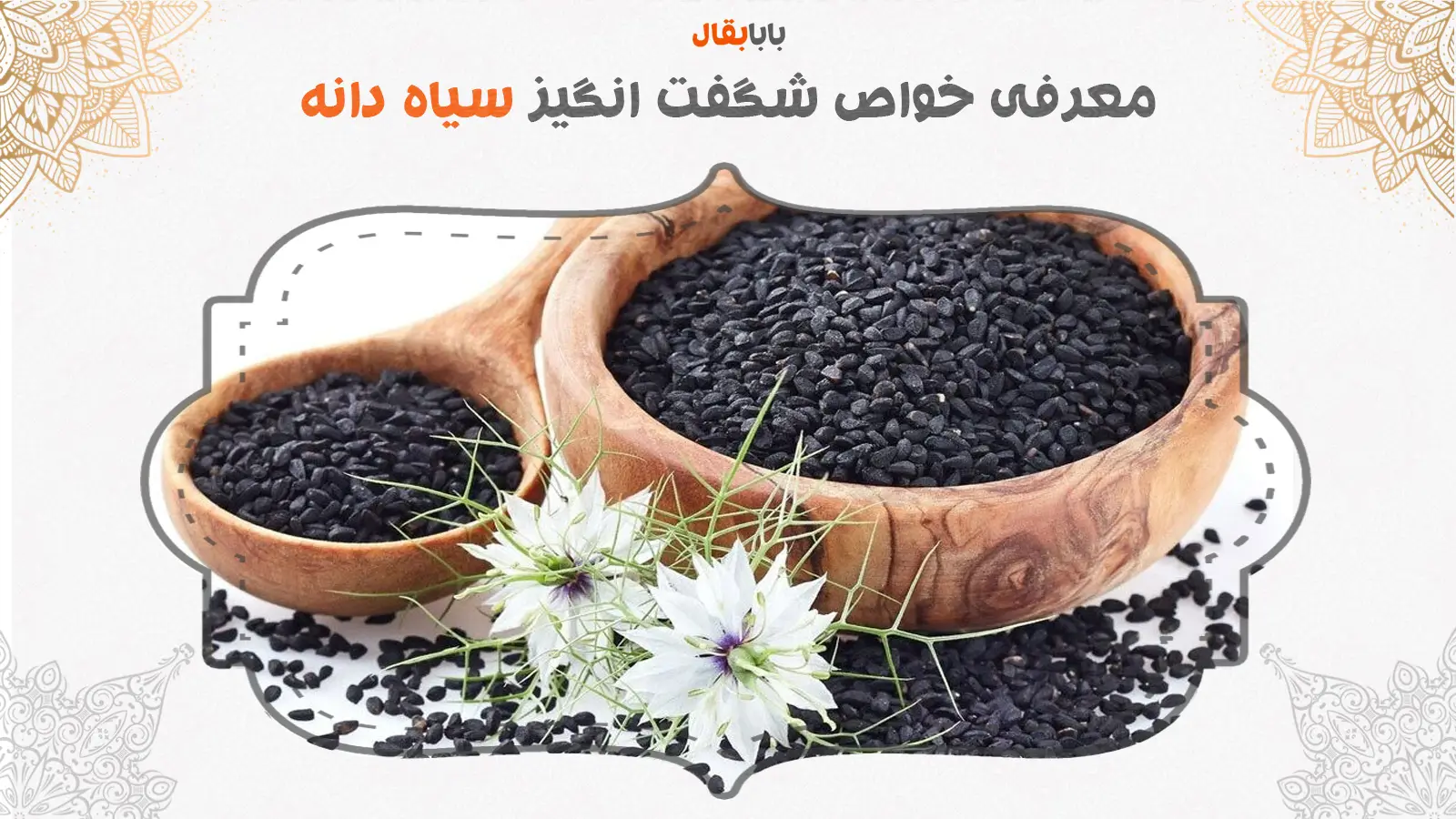 خواص سیاه دانه